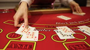 256bet